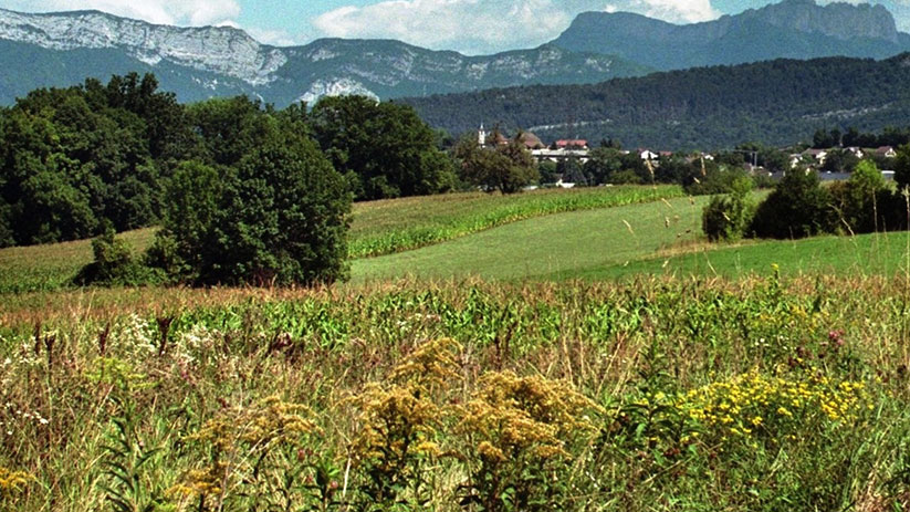 Pour vendre un terrain à un promoteur, l'avant-contrat est primordial