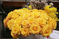 fleurs, tombe, deuil, succession, héritage