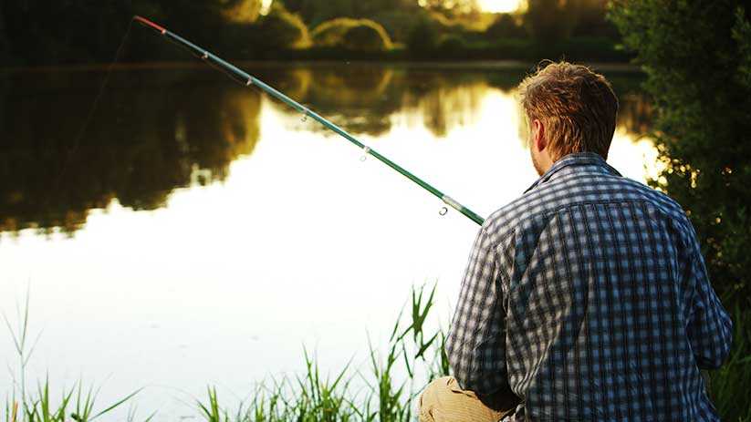 Dates Douverture Et De Fermeture De La Pêche 2020