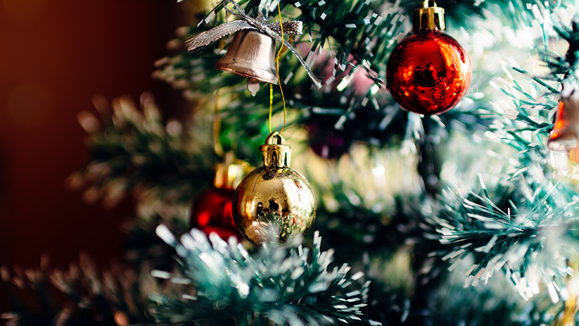Nos 7 astuces pour acheter votre sapin de Noël pas cher