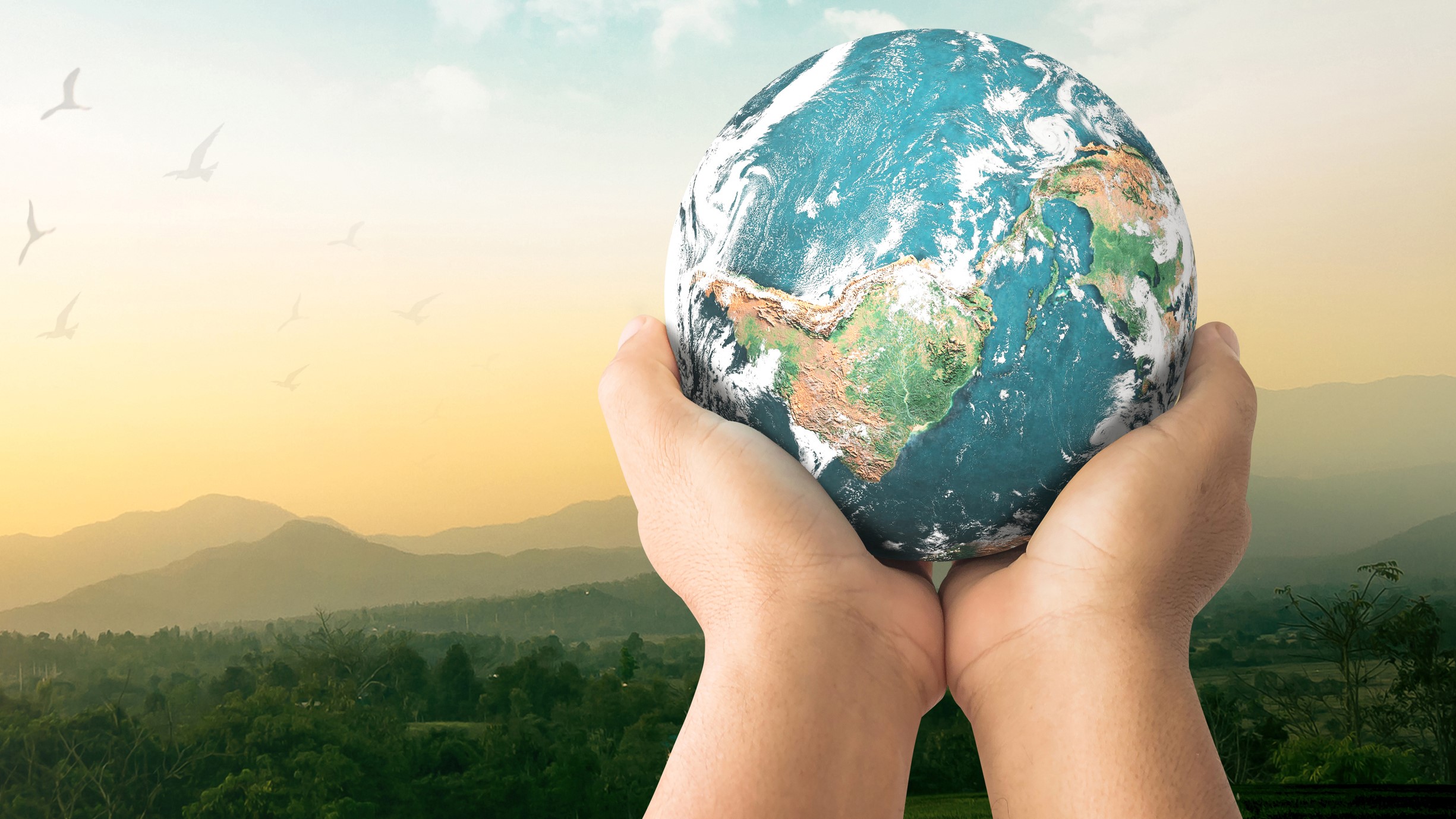 Comment investir dans un fonds durable ?